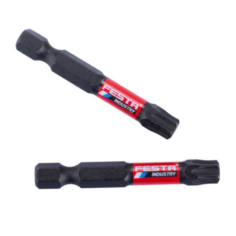 bit,hrot Torx 40x50mm 1/4 2ks/bal Festa 18725