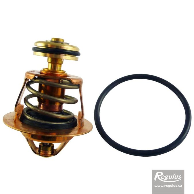 REGULUS  termočlen VB24 s kužeľčekom pre ventil TSV3B,5B; 50°C    16095